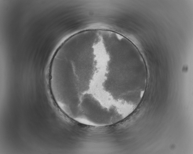 X0000116801008201001151118