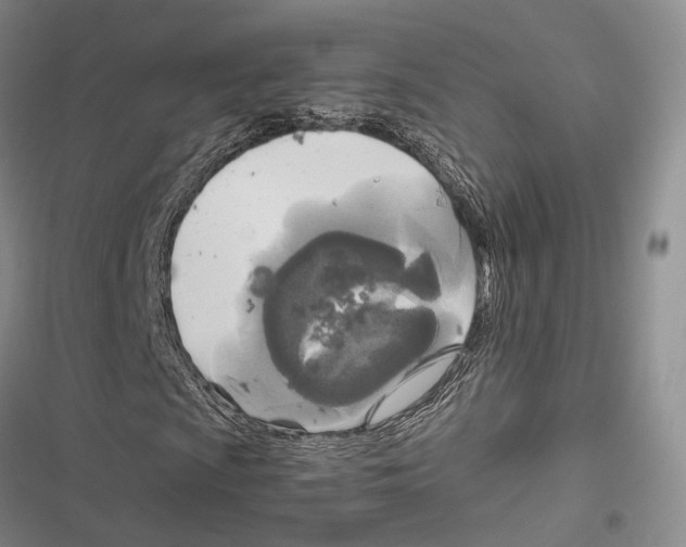 X0000116801009201001151118
