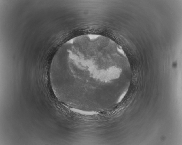 X0000116801010201001151118