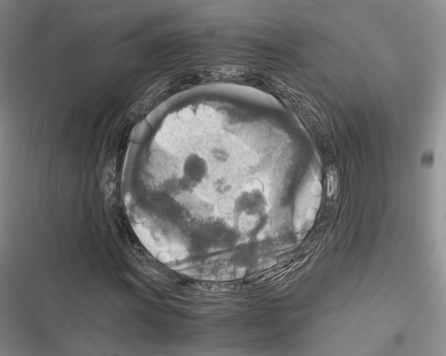 X0000116801011201001151118