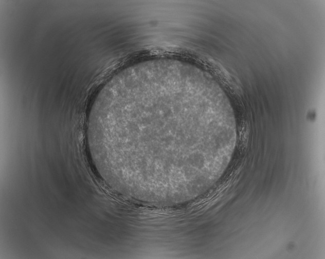 X0000116801012201001151118
