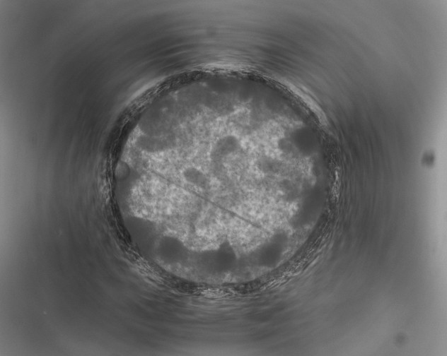 X0000116801015201001151118
