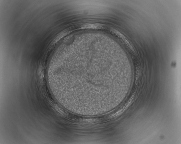 X0000116801017201001151118
