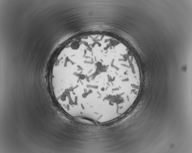X0000116801018201001151118