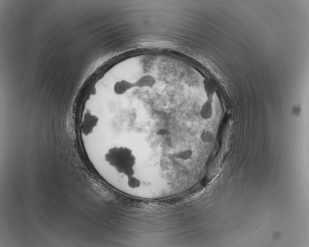 X0000116801022201001151118