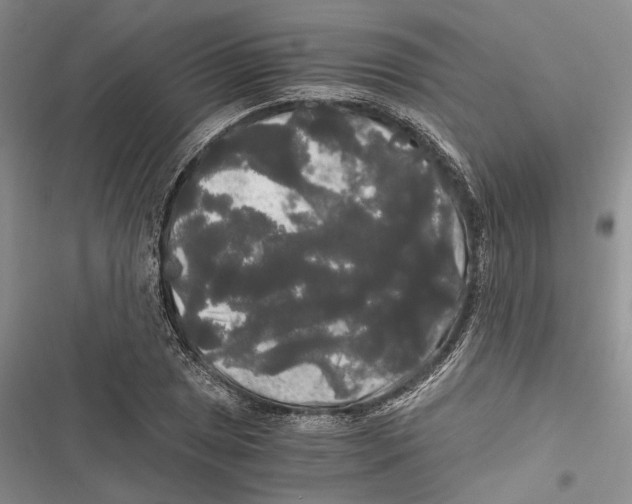 X0000116801025201001151118