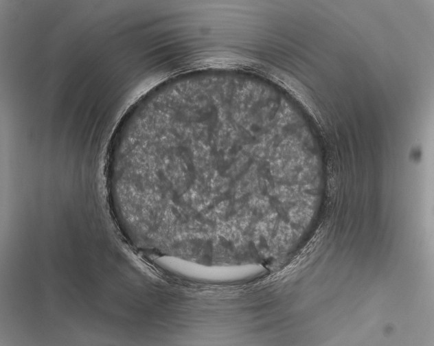 X0000116801026201001151118