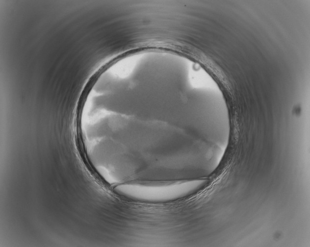 X0000116801028201001151118