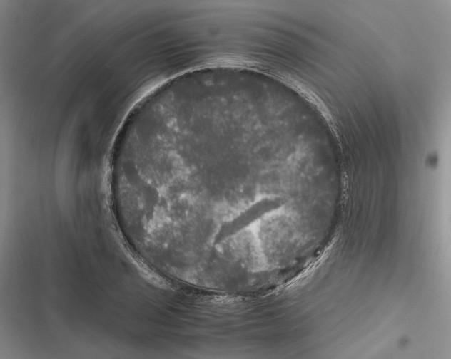 X0000116801029201001151118