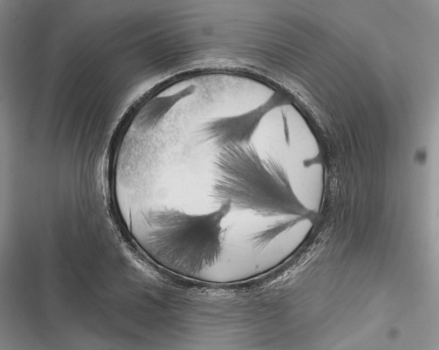 X0000116801030201001151118