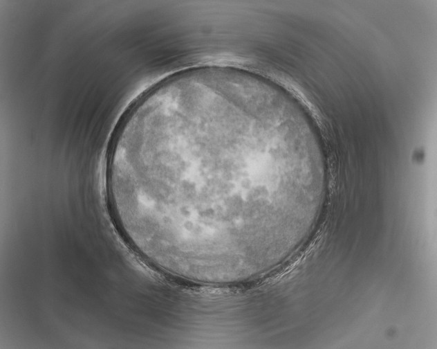 X0000116801032201001151118