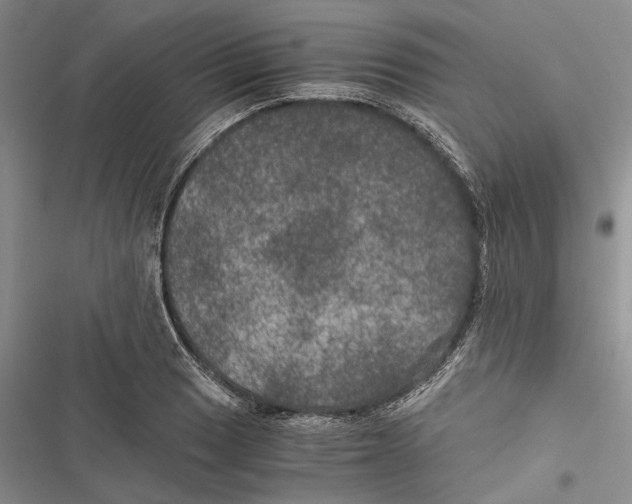 X0000116801033201001151118