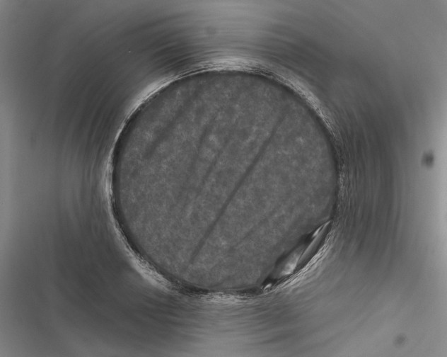 X0000116801034201001151118