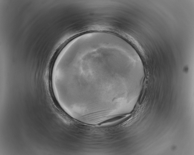 X0000116801035201001151118