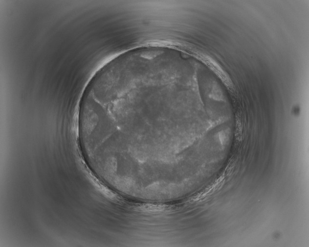X0000116801036201001151118