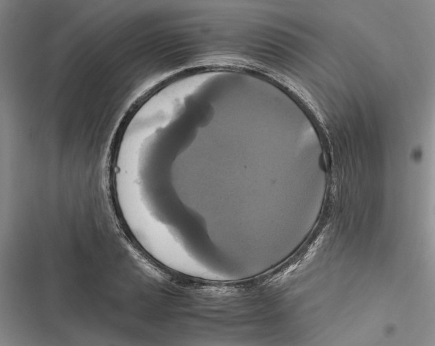 X0000116801037201001151118