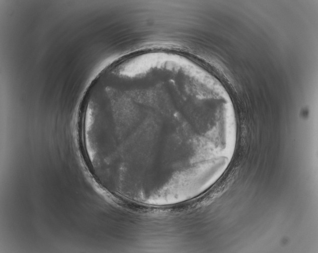 X0000116801038201001151118