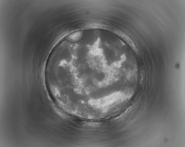 X0000116801039201001151118