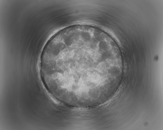 X0000116801040201001151118