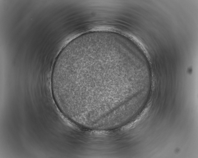 X0000116801041201001151118
