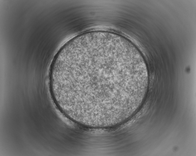 X0000116801042201001151118