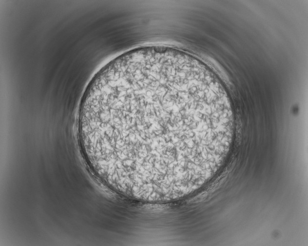 X0000116801044201001151118