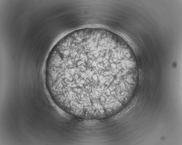 X0000116801046201001151118