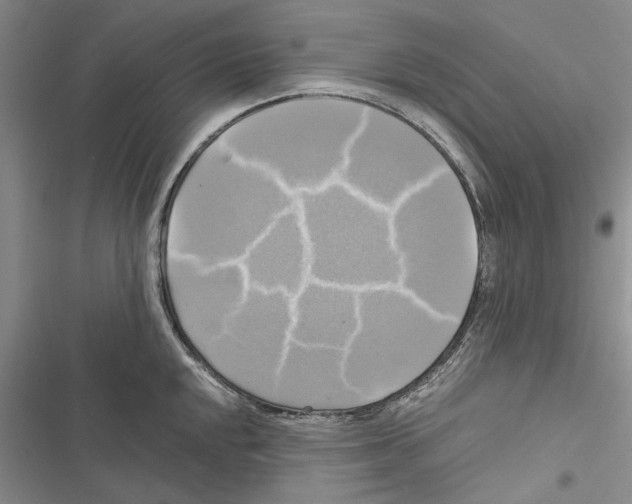 X0000116801048201001151118