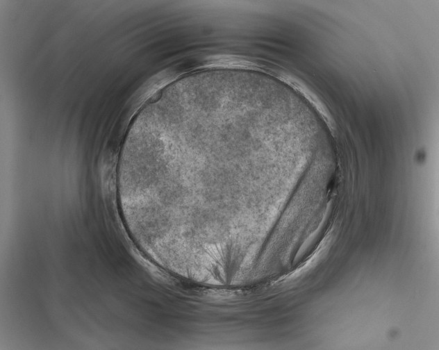 X0000116801049201001151118