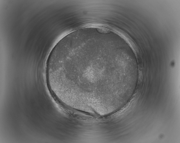 X0000116801050201001151118