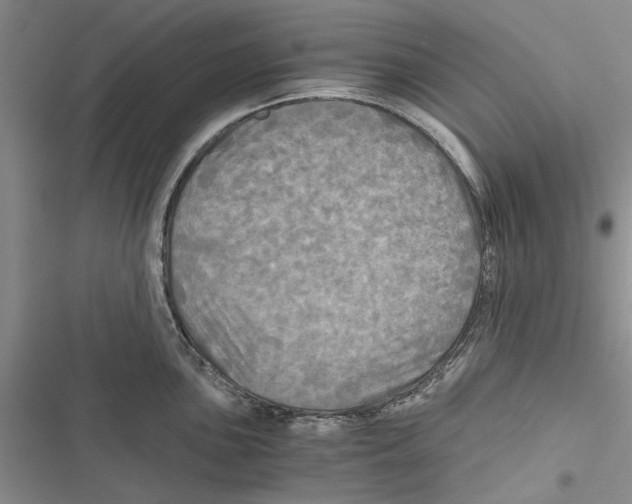 X0000116801051201001151118