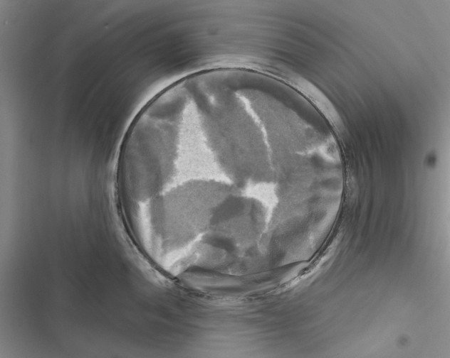 X0000116801052201001151118