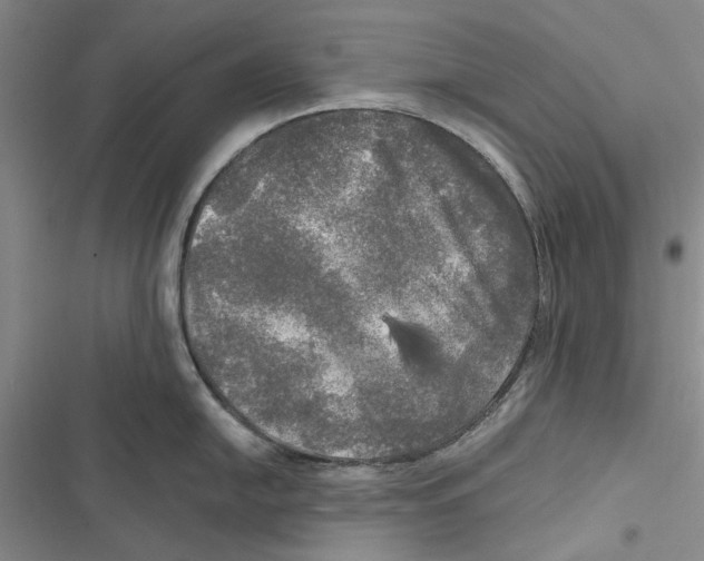 X0000116801054201001151118