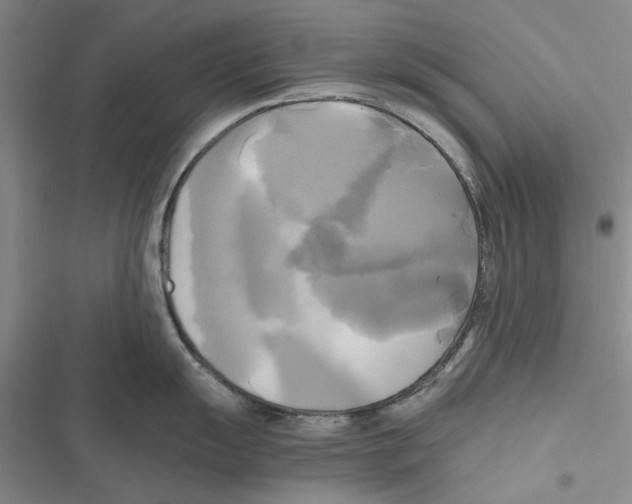 X0000116801055201001151118