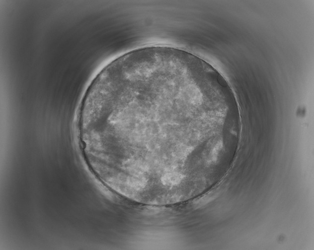 X0000116801056201001151118