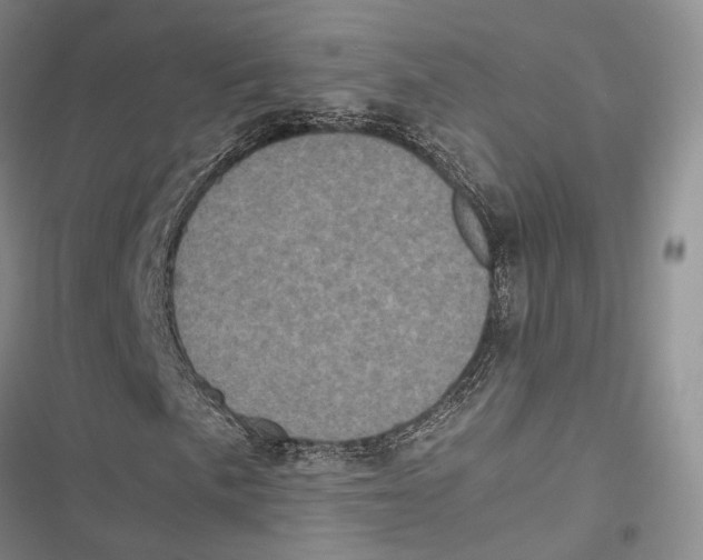 X0000116801057201001151118