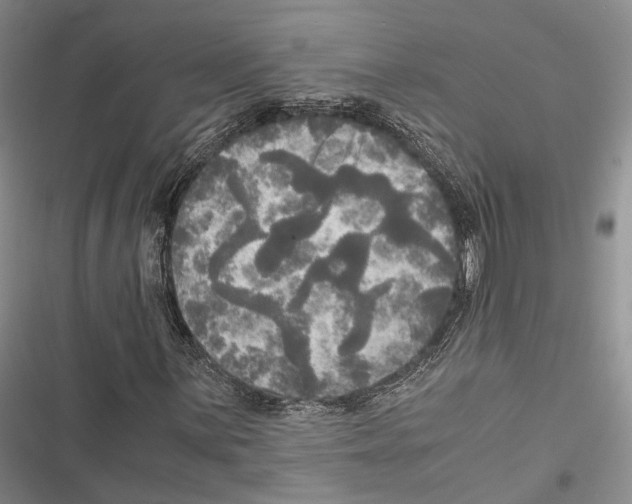 X0000116801059201001151118