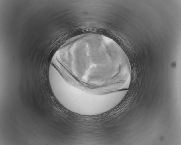 X0000116801060201001151118