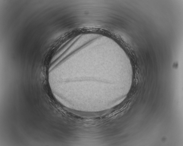 X0000116801062201001151118