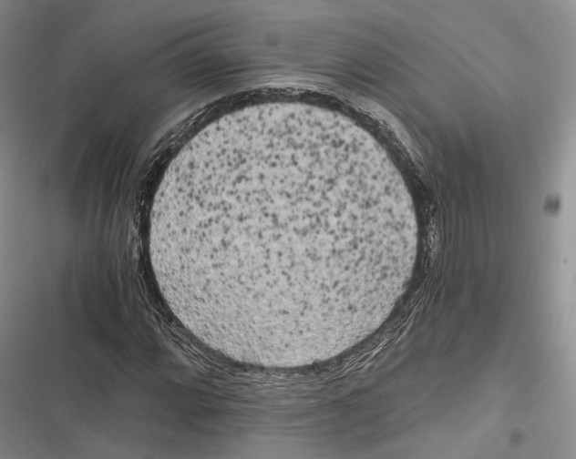 X0000116801064201001151118