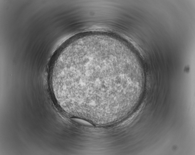 X0000116801066201001151118