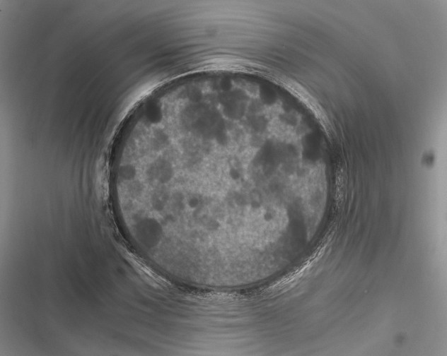 X0000116801067201001151118