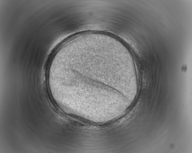 X0000116801070201001151118