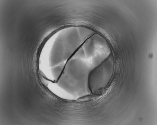 X0000116801071201001151118