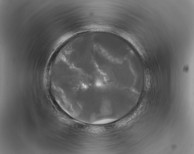 X0000116801074201001151117