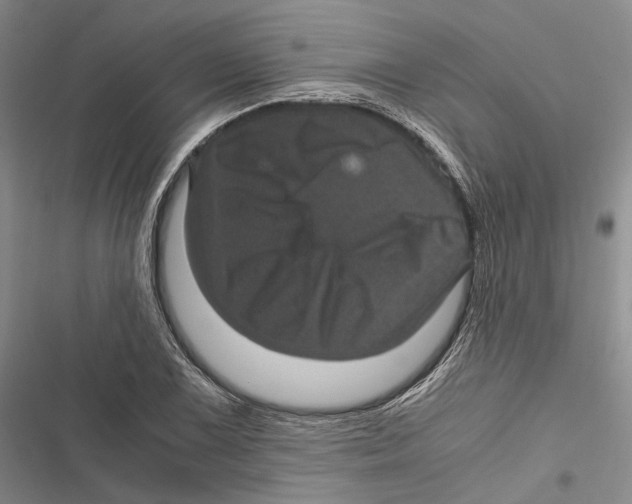 X0000116801075201001151117