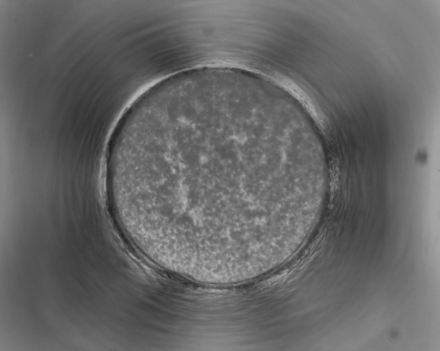 X0000116801076201001151117