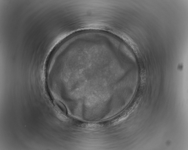 X0000116801077201001151117