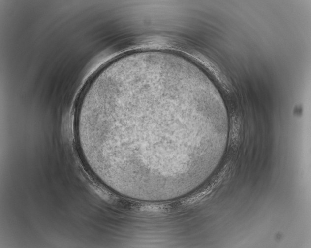 X0000116801078201001151117