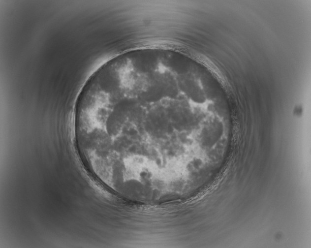 X0000116801079201001151117